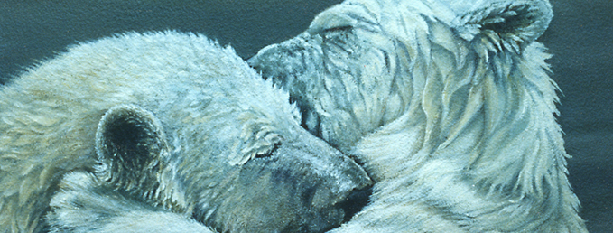 Bears